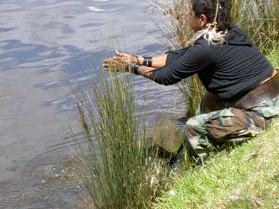 We are all part of the creation