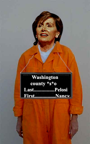 pelosi4