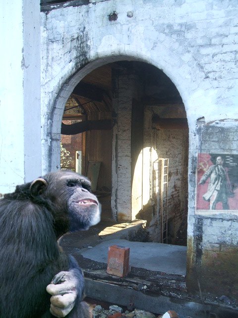 Mooreen and Lenin in Sheffield