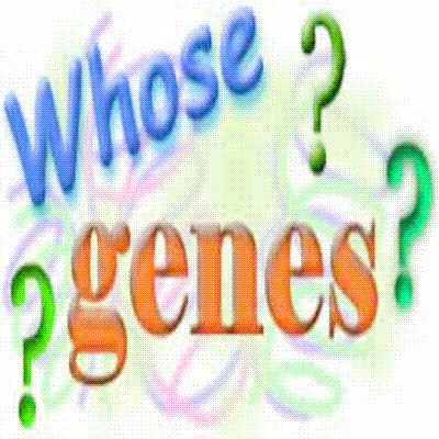 eco-centric - x-mess