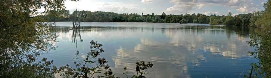 Radley Lakes