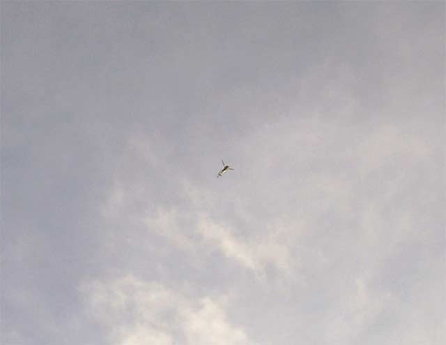 helicopter hovering over Sparkhill