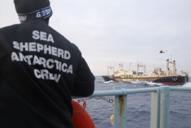 Sea Shepherd helicopter over the Nisshin Maru