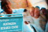 Beagle punching at HLS