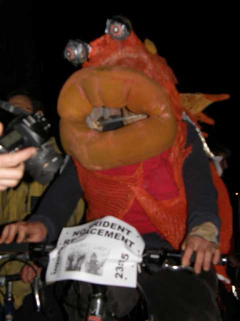 1st prize for best fish costume