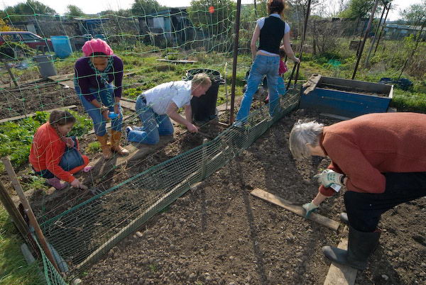 Getting down to work on a plot