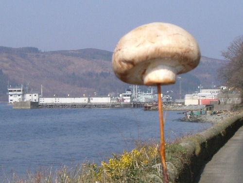 Accident at Faslane leads to nuclear disaster