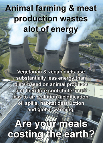 Animal farming and climate chaos