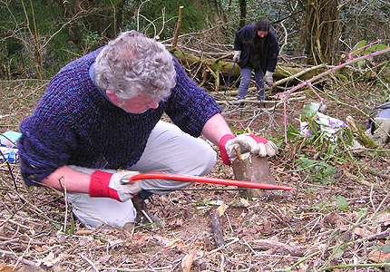 Volunteer and Community work at Cann Woods, Plymouth.