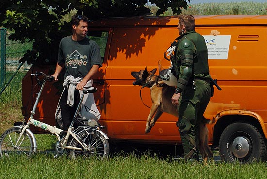 2) Taking the dog for a walk in the countryside.