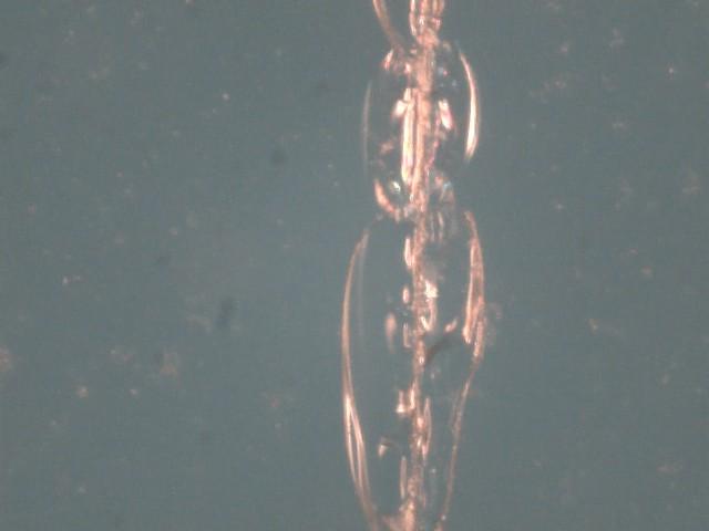 onbe of the objects found: