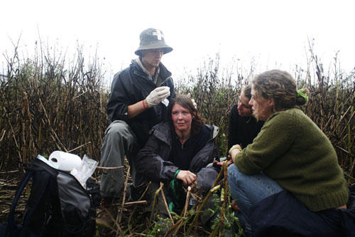 A protester gets treatment in the field