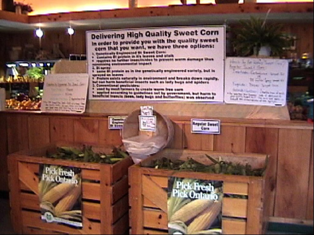 Do you want to eat wormy sweet corn?