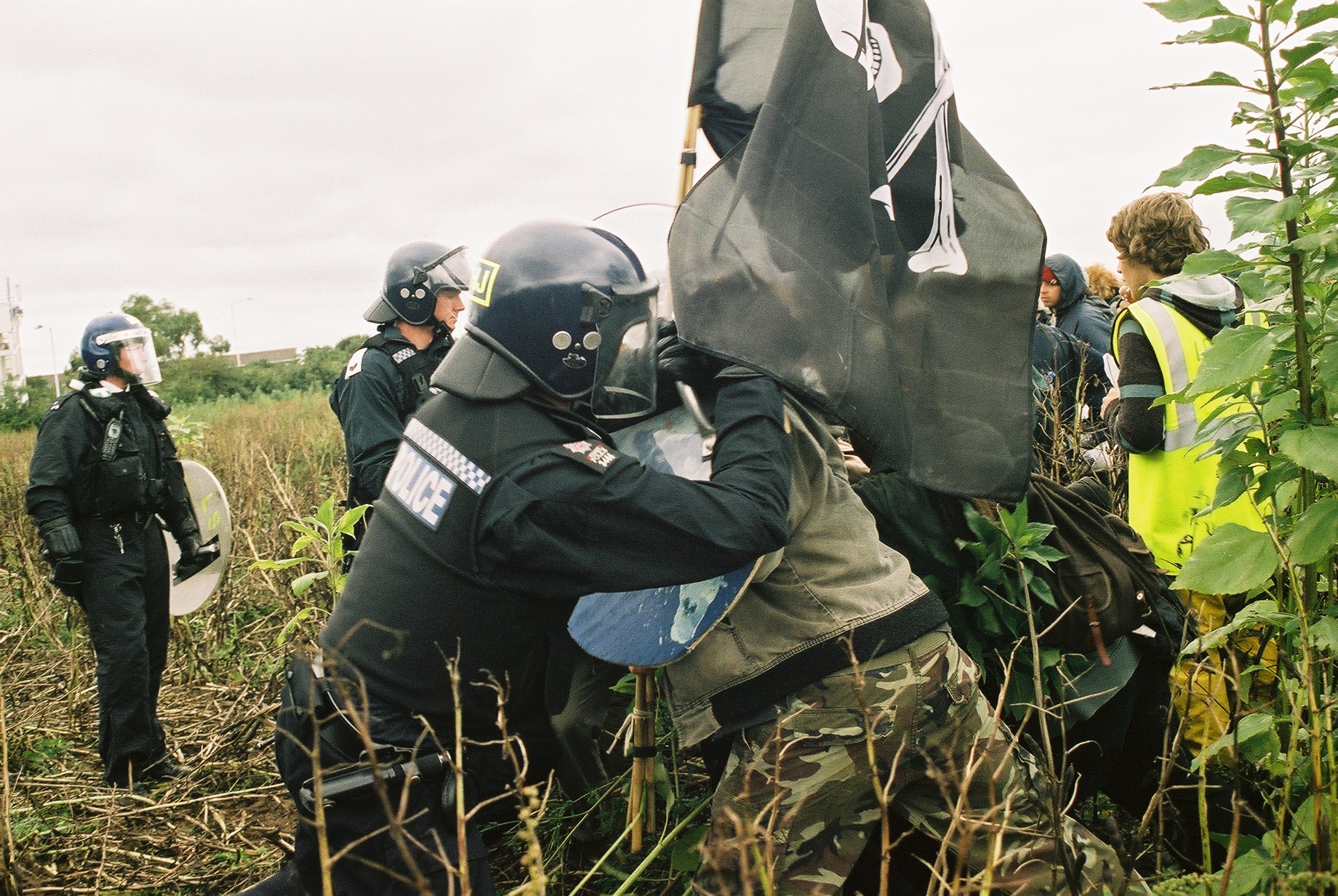 Battle of the broad bean field ( 2 )