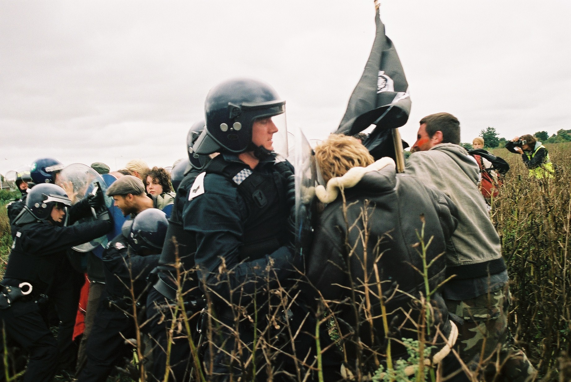 Battle of the broad bean field ( 9 )