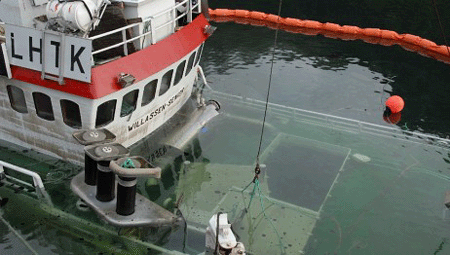 A victory for larger brained mammals