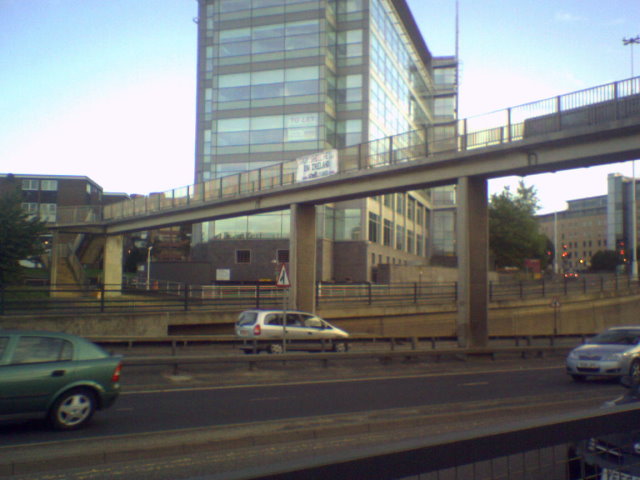 Stop Shell Hell in Ireland