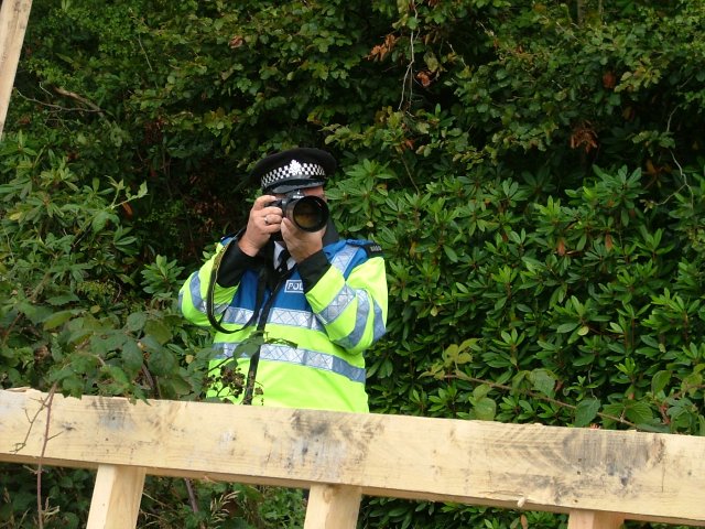 sneaking through the hedge