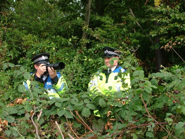 sneaking through the hedge 2