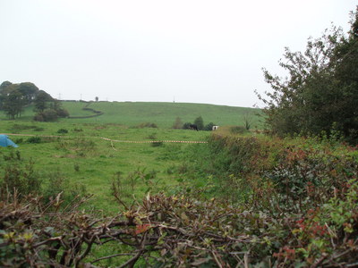 The last green field...