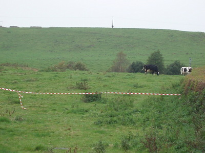 A site for a supermarket?