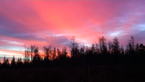 Stills from the film: Sunrise in County Mayo