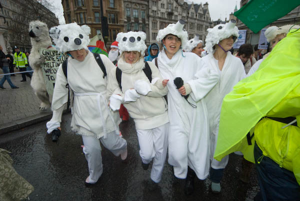 Polar Bears. (C) Peter Marshall