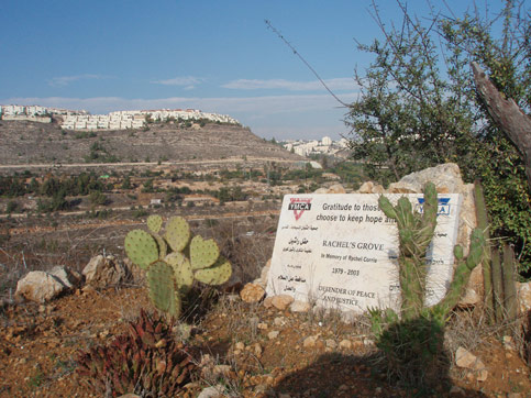 Rachel's groveRachel's Grove on Abed Rabo's land, checkpoints and settlements
