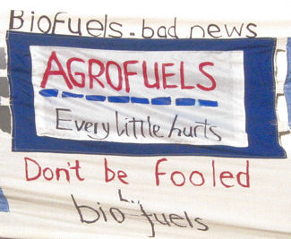 Detail from quilted banner made by Lesley Grahame, Norwich