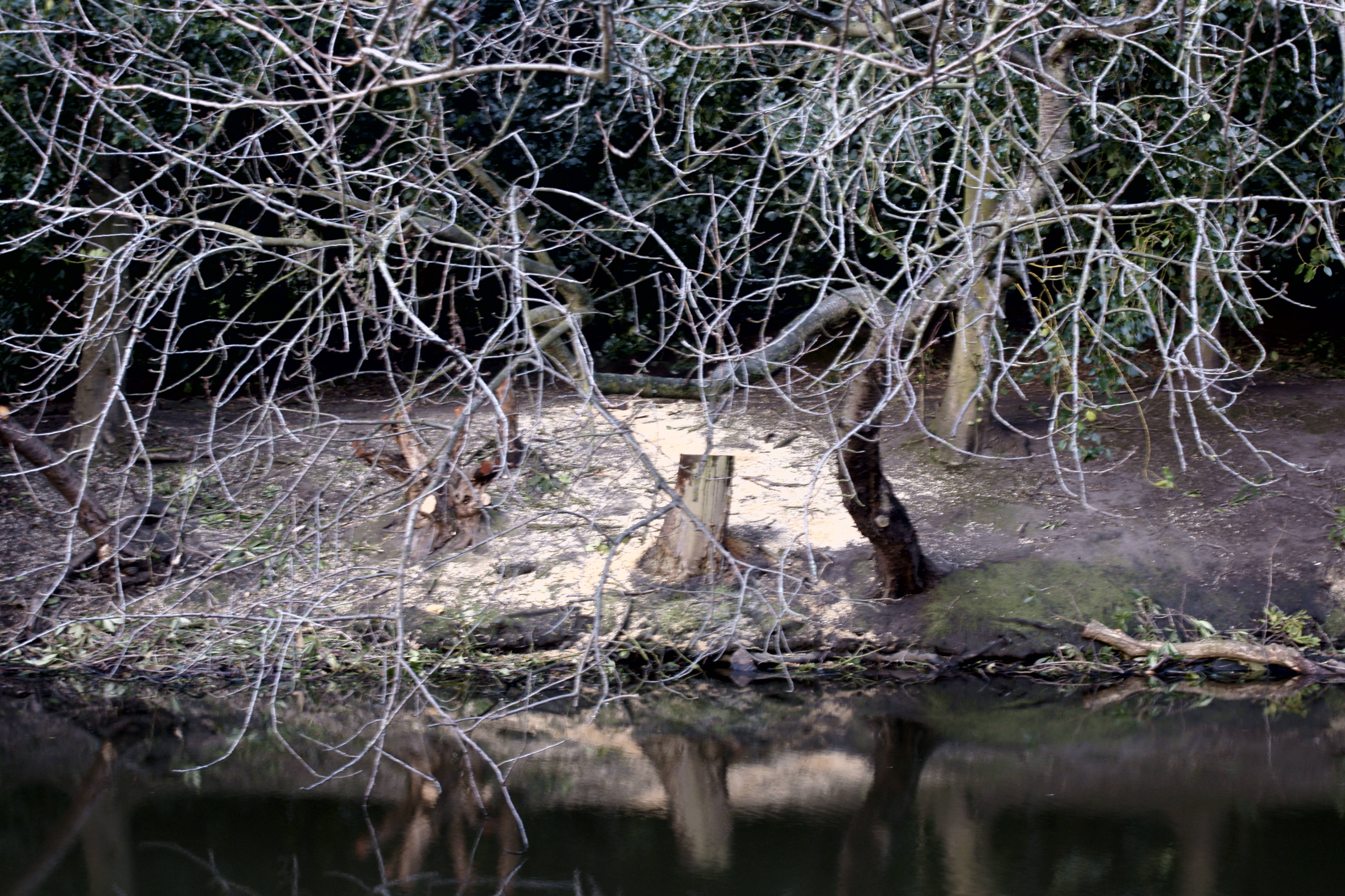 Lots of sawdust left behind