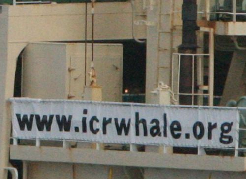 Close up of Gun Dischage on Nisshin Maru, 7 March