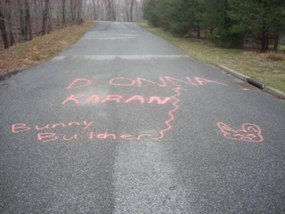 "PAINT PANTHERS" VISIT DONNA KARAN (USA)