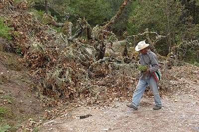A roadblock to keep the paramilitaries away.