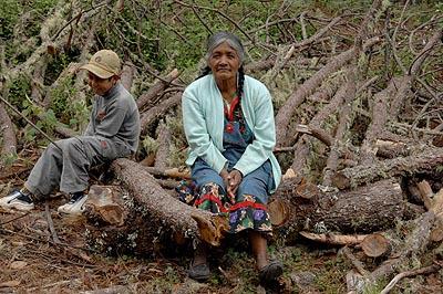 He explains the effect on the communitiy of illegal logging.