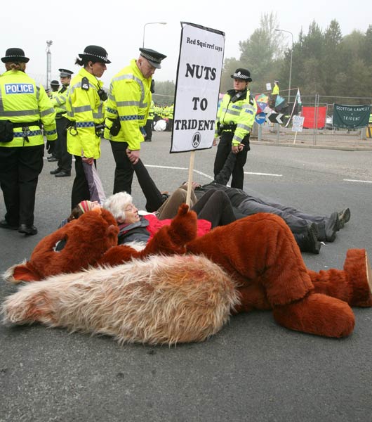 Can you spot the squirrel?