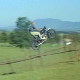 Remember & respect our grandparents whipped your nazi asses