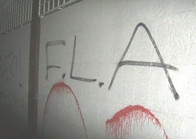 Mexico City Leather Company Painted