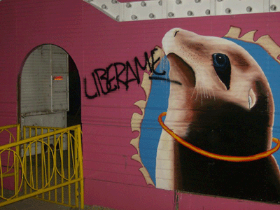 "Passivity Makes You Complicit"