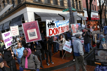 Schumacher Furs protest; before shuttering its downtown Portland business
