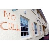 "No Cull"