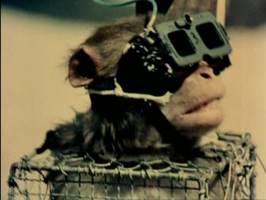 this little chap proved it was bad to look at exploding nukes