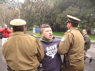 Arrests were made outside the IWC meeting