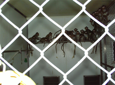 Inside Charles River