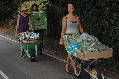 ...and wheelbarrow...