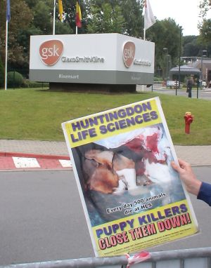 Puppy Killers - Close The Down!