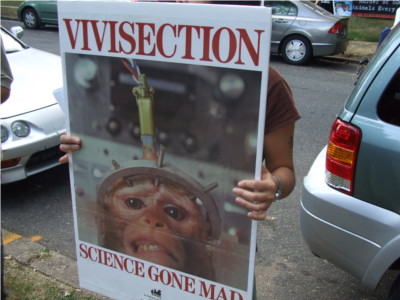 WHY people protest HLS