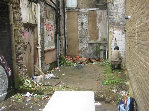 getting started with some weeding