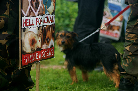 Protesters wait to carry out the action.