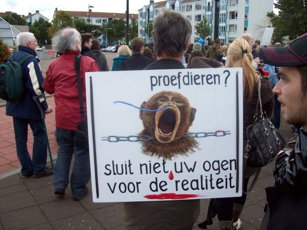 Labanimals? Don't close your eyes for the reality,,,