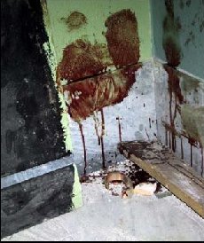 The aftermath of the police raid in the Diaz school